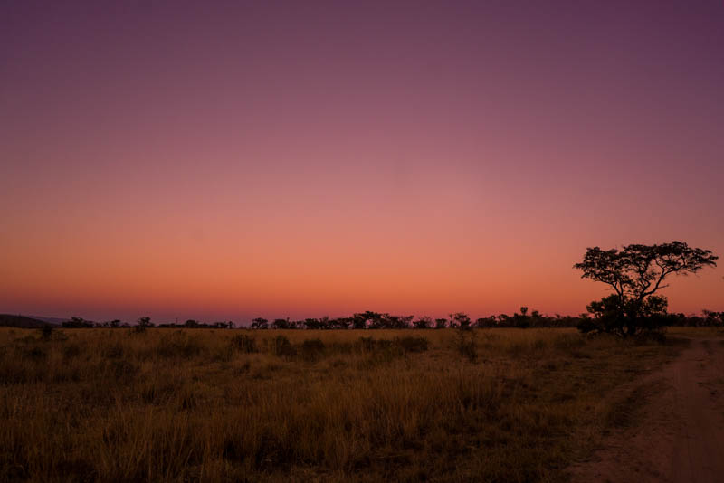 A purple sky and a fading orange sunset over the South African fields.
