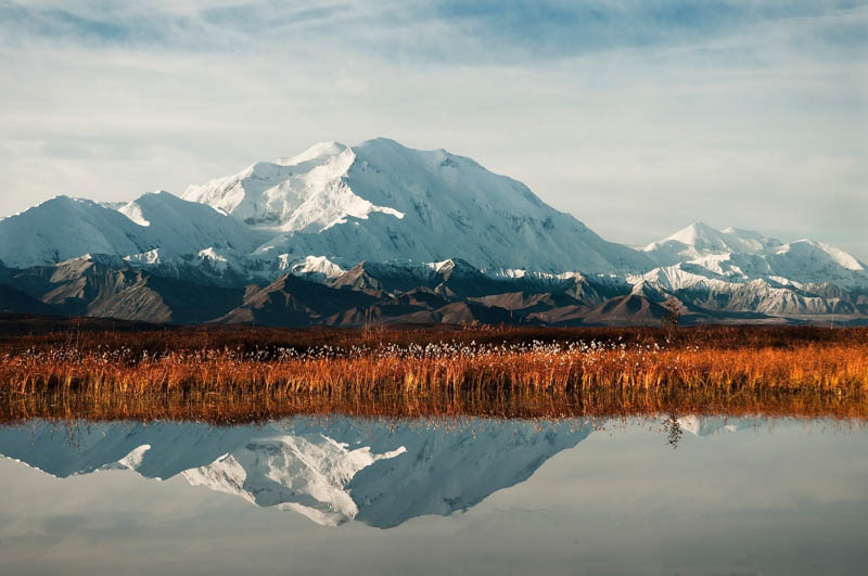 Mt. Denali reflected in the waters of a still lake with red grass at the base.
