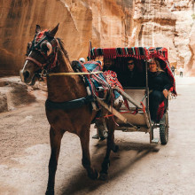 Carriage Ride through Petra