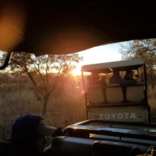 south africa safari tour