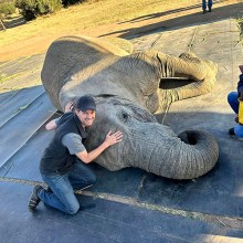 South Africa Safari Elephant Encounter