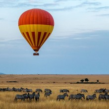 hot air balloon over a herd of zebras in africa unsplash