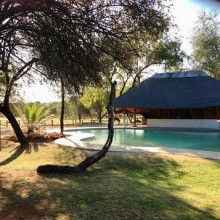 south africa safari lodging swimming pool