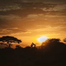 south african sunset unsplash