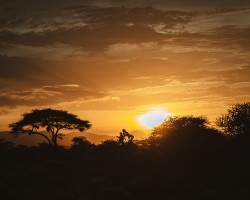 south african sunset unsplash