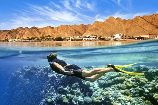 Snorkeling in Red Sea