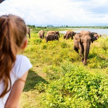 girl watching elephants africa safari