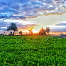 nile farmland egypt unsplash nile farmland egypt unsplash