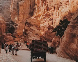 road to ancient Petra unsplash