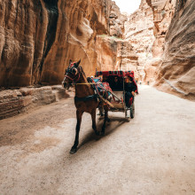 Carriage Ride through Petra (Unsplash)