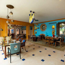 Lazibb Inn blue donkey res Lazibb Inn blue donkey res