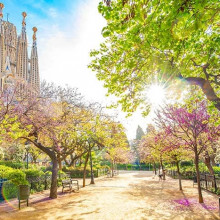 Blooming spring park in Barcelona city centre, Spain travel photo. Beautiful panoramic view of Barcelona cityscape, Sagrada Familia famous architectural attraction on a background Blooming spring park in Barcelona city centre, Spain travel photo. Beautiful panoramic view of Barcelona cityscape, Sagrada Familia famous architectural attraction on a background