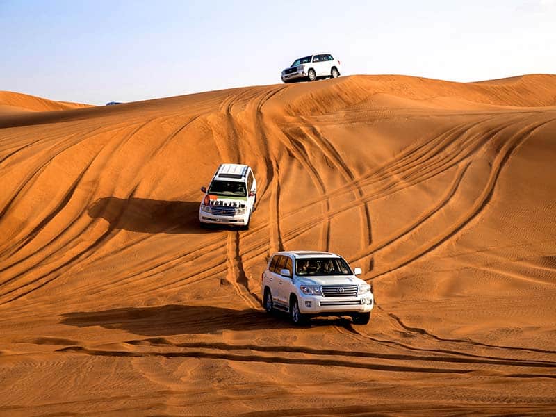 Landcruisers in Saudi Arabia Desert