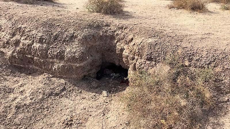 mud brick