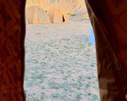 peaking out of the tent after a night camping under Mt Sinai in Arabia peaking out of the tent after a night camping under Mt Sinai in Arabia