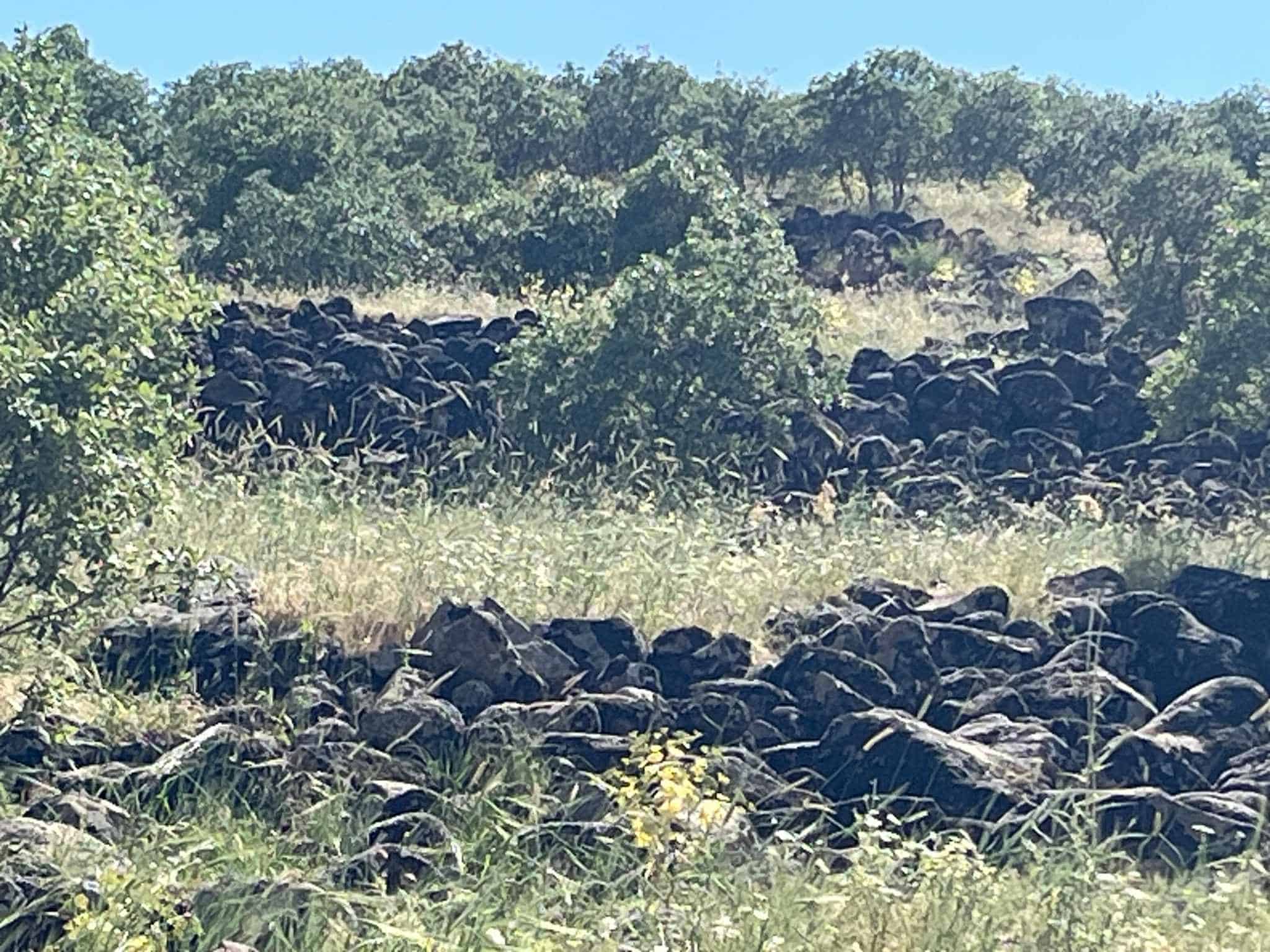 the stone terraces