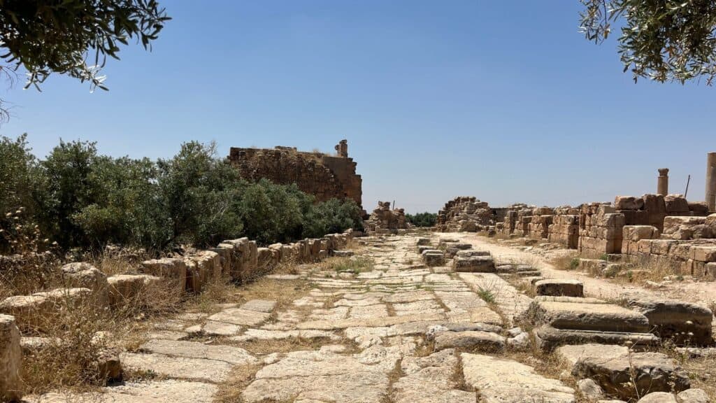The stone-paved agora street at the ancient city of Dara, southeastern Turkey, with ruined shop foundations and column fragments along both sides.