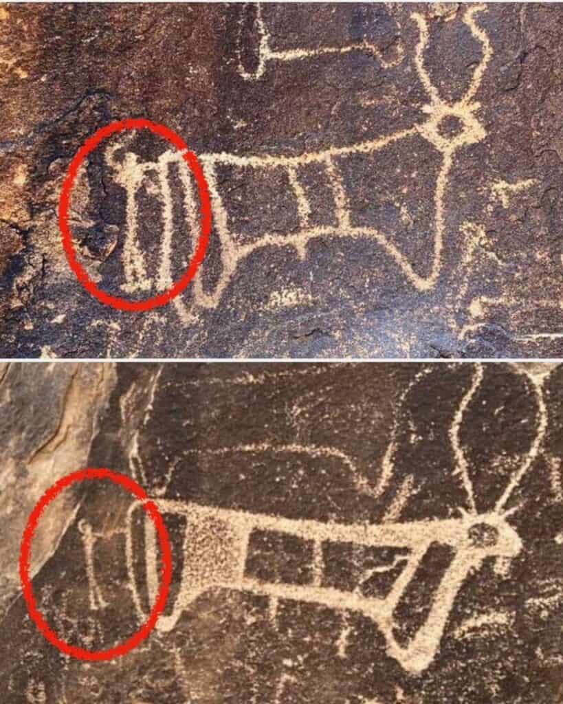 Two carved panels of bovines at the golden calf altar below Jabal Maqla, with small human figures beside the animals circled in red
