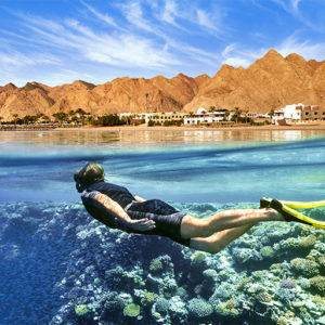 Snorkeling in the Red Sea Icon