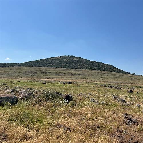 tower of babel site thumb